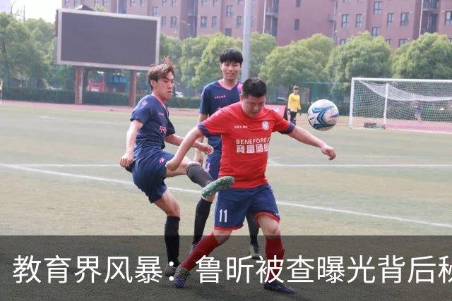 教育界风暴：鲁昕被查曝光背后秘辛